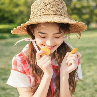 海之梦online手游下载